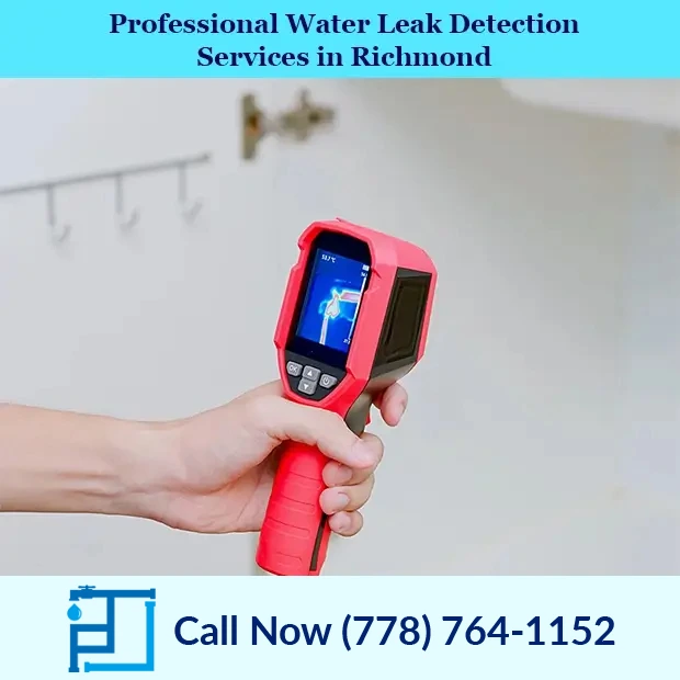 Leak Repair Services in Surrey